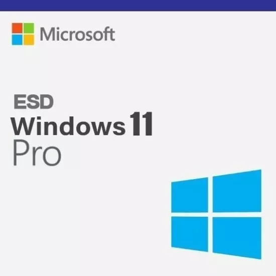 Microsoft Windows 11 Pro FPP ESD Lisans